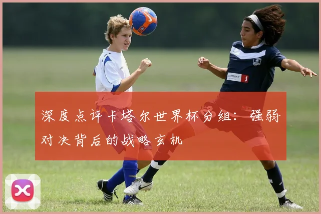 深度点评卡塔尔世界杯分组：强弱对决背后的战略玄机