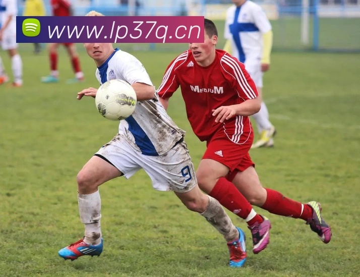 多媒体互动体验